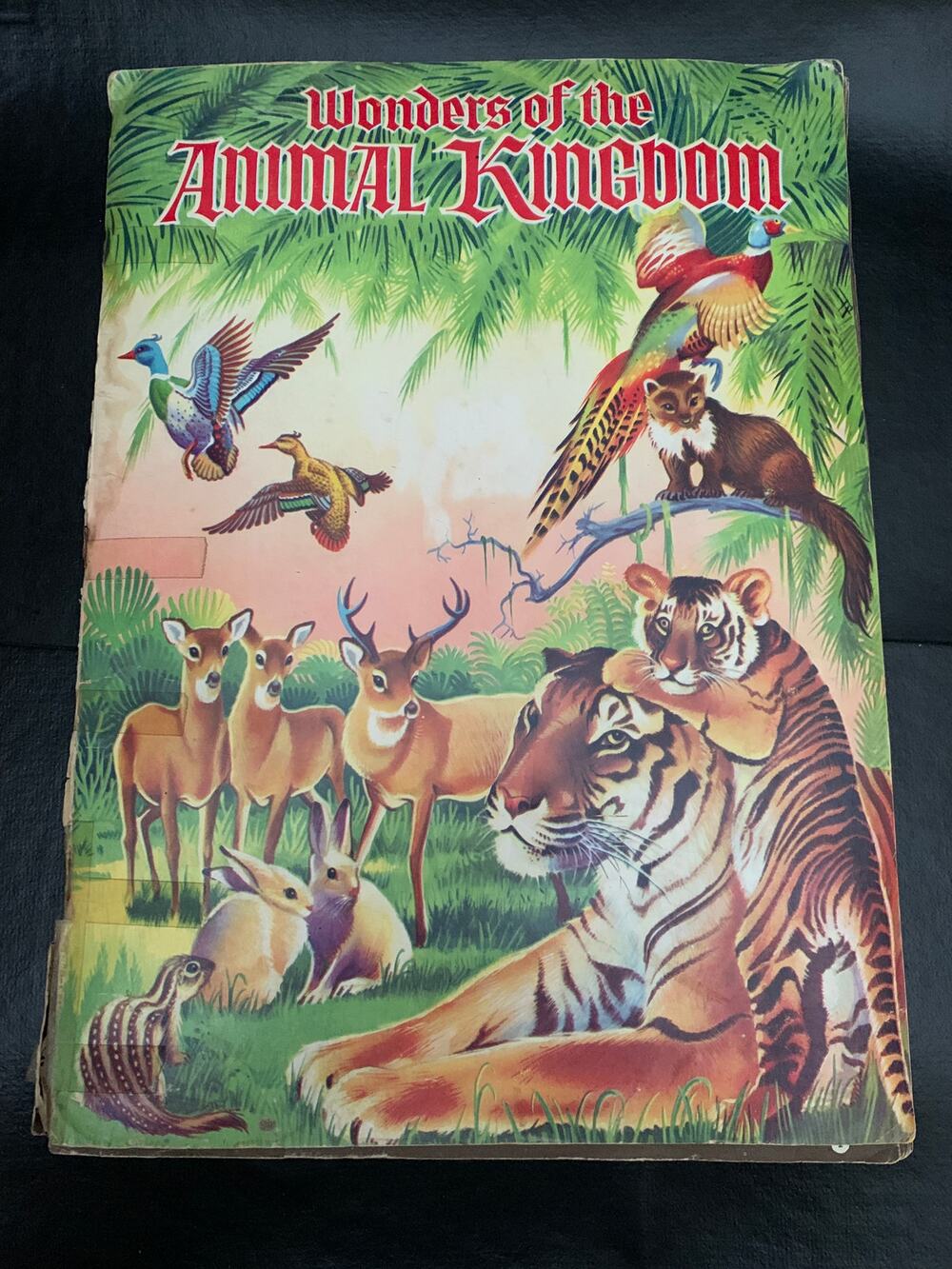 1959 Wonders of the Animal Kingdom Stamp Album Howard Winter Golden Glow AS IS
